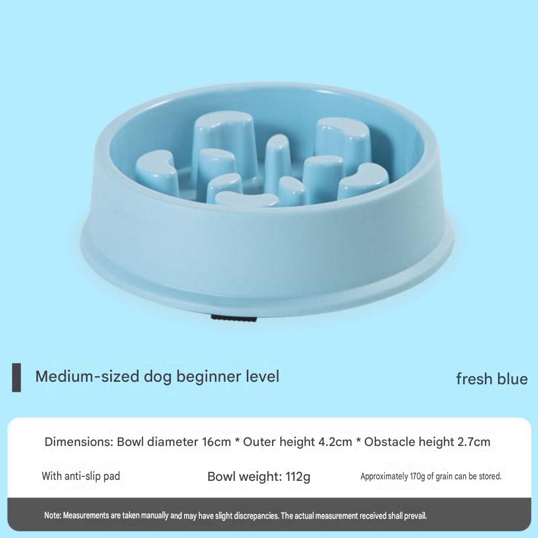 SlowPace™ Interactive Slow Feeder Bowl