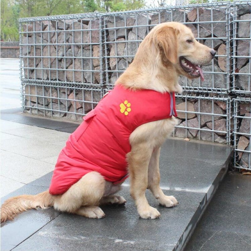 WarmShield™ Winter Dog Coat
