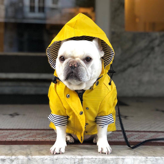 WarmShield™ Winter Dog Coat