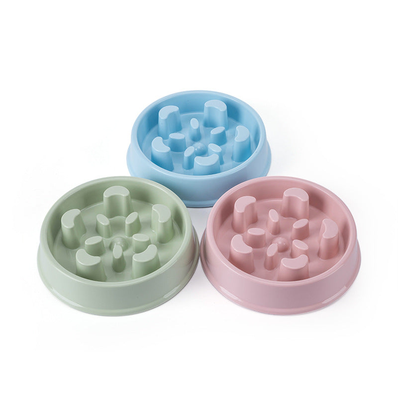SlowPace™ Interactive Slow Feeder Bowl
