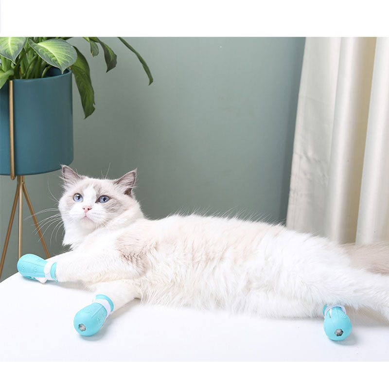 PawGuard™ Cat Grooming Protector